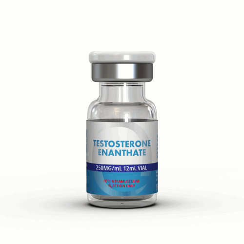 Testosterone Enanthate 250mg
